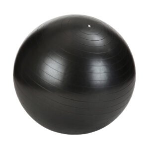 Pelota 55 cm esferodinamia
